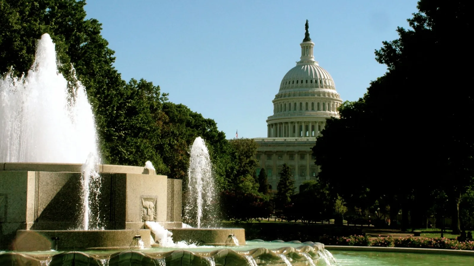 US Senate committee votes to hold Anthony Fauci in contempt over Covid hearing
