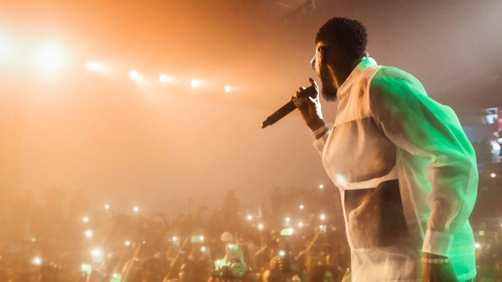 Dynamic scene of a performer on stage with a vibrant audience capturing the moment.
