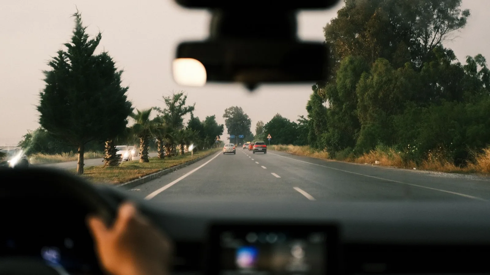 View from inside a moving car driving down a tree-lined open road at dusk.