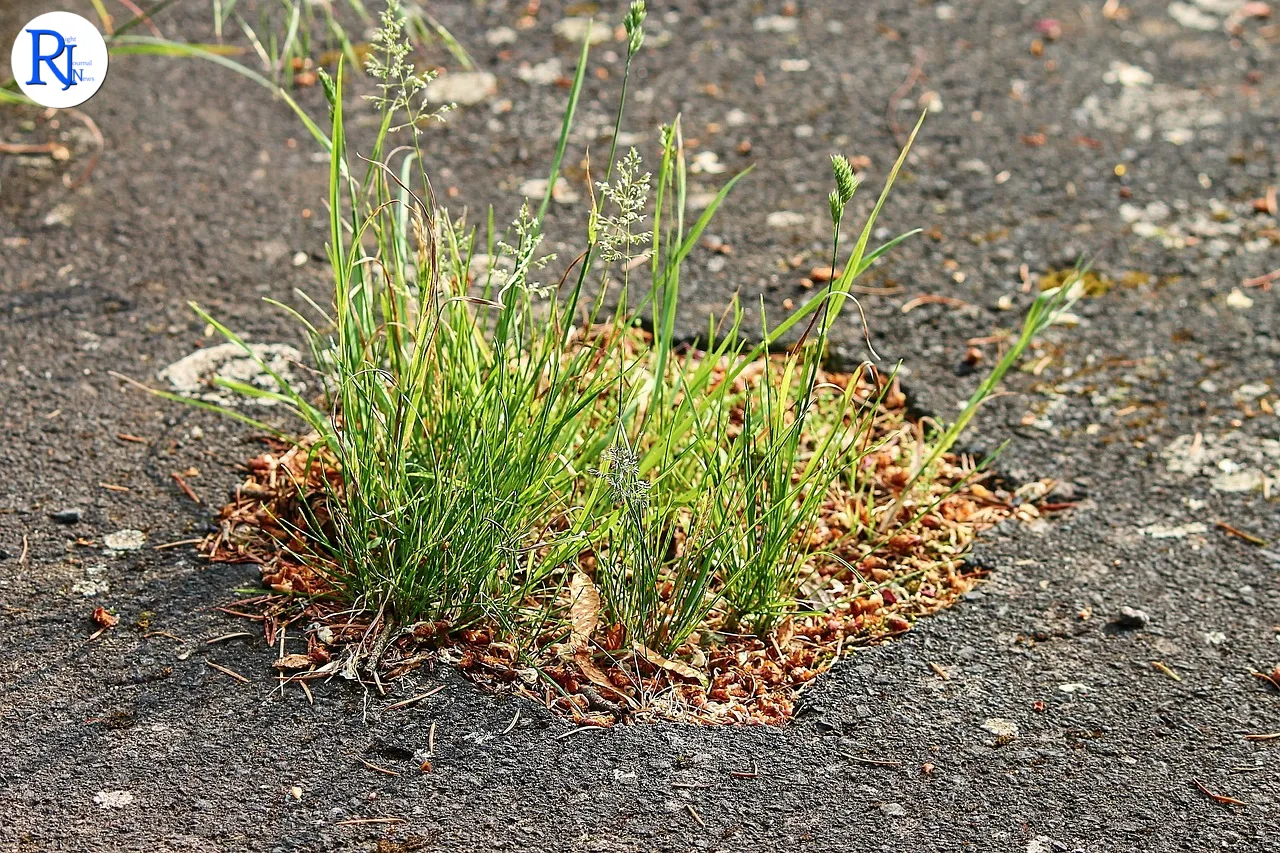Councils Face Funding Cuts Over Inadequate Pothole Repairs