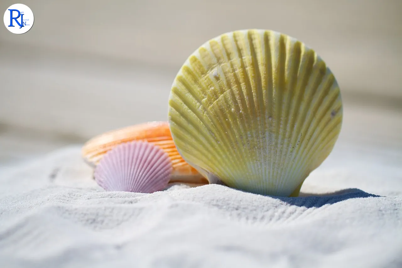 Discover Hidden Beach Paradises for a Fraction of the Cost
