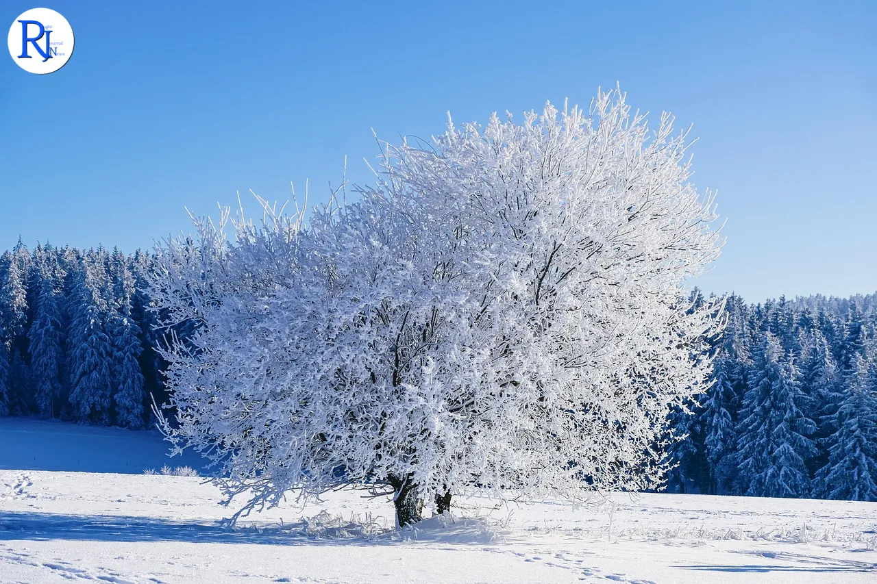 Chancellor Announces Expanded Winter Fuel Payment Amid Rising Energy Costs