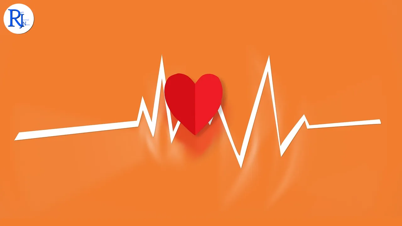 Unraveling the Roots of Dilated Cardiomyopathy: Genetics and Lifestyle's Crucial Role