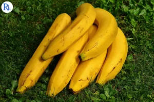 Google brings ‘Nano Banana’ AI image maker to Search and NotebookLM, with Photos next