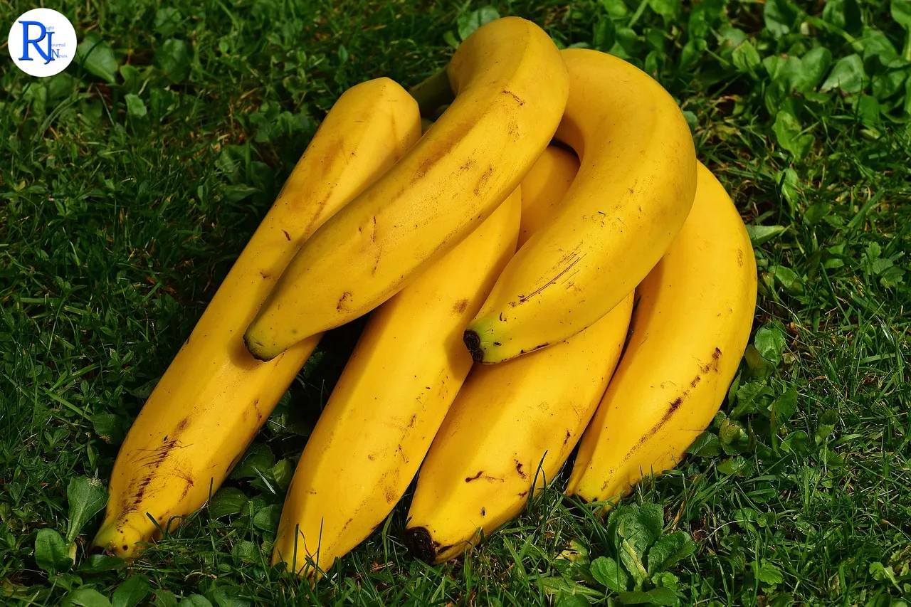 Google brings ‘Nano Banana’ AI image maker to Search and NotebookLM, with Photos next