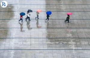 Google’s WeatherNext 2 sets the pace for AI-powered forecasts in everyday life