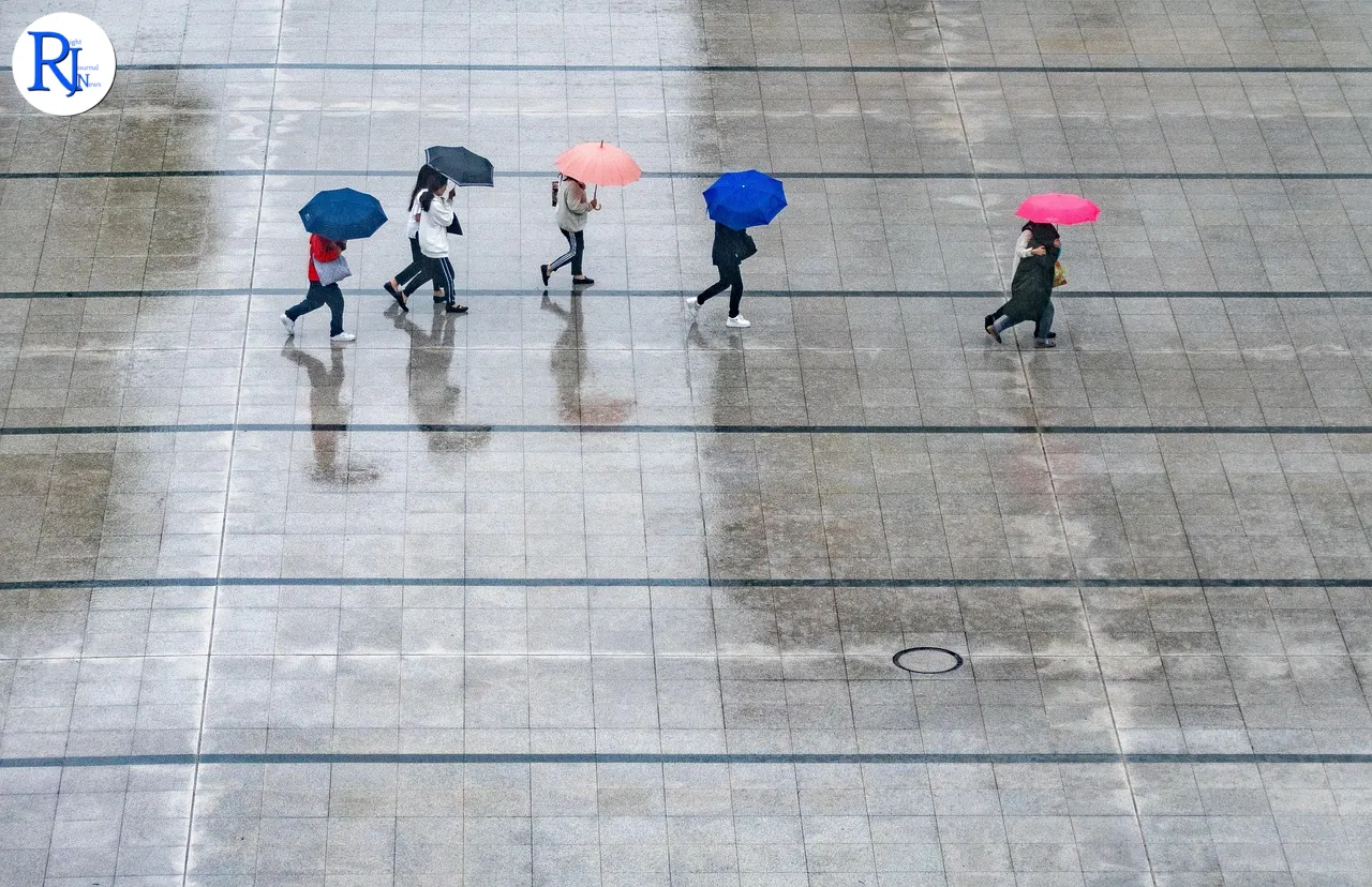 rain, people, umbrellas, wet, weather, nature, thunderstorm