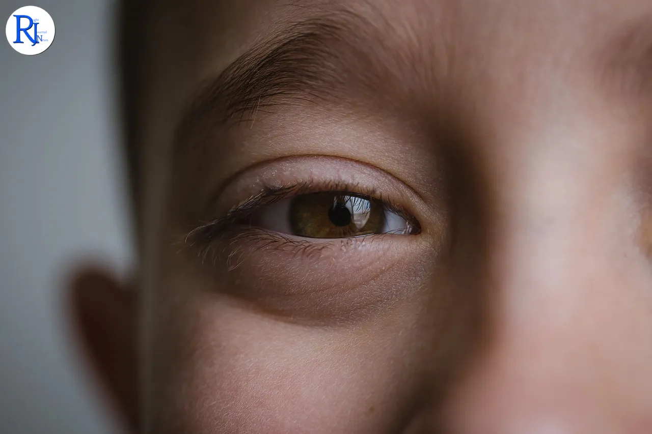 boy, brown eyes, eyes, face, male, child, kid, close up